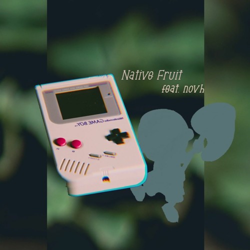 Native Fruit album art